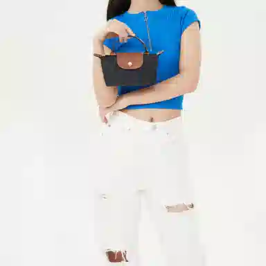 LONGCHAMP Le Pliage 17