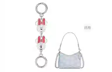 Disney coachLaurel31