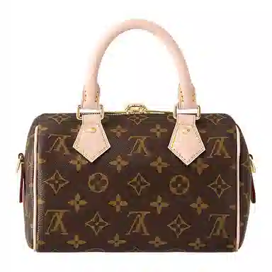 Louis Vuitton Speedy 20