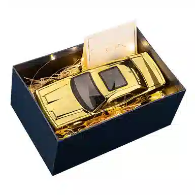 FEN JIE SRT 124