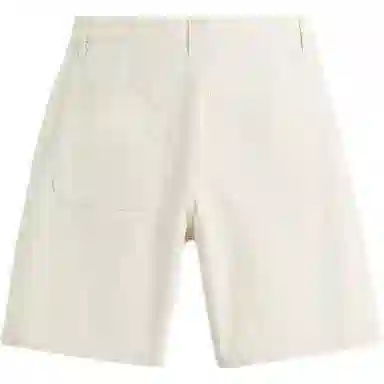 ZARA Slim Fit Striped Shorts