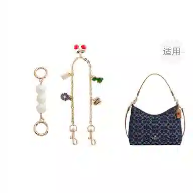 jingxi coach