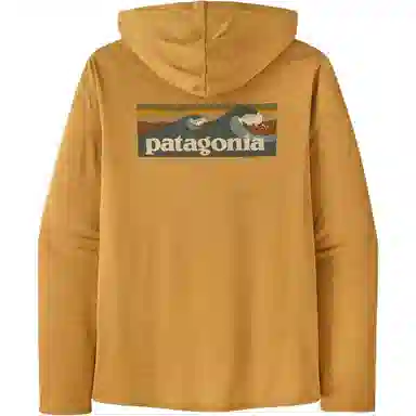patagonia Men's Capilene Cool Daily Graphic Hoody T