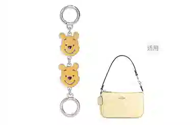 Disney coachLaurel31