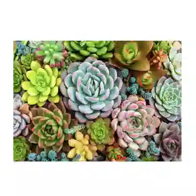 1000pcs DIY