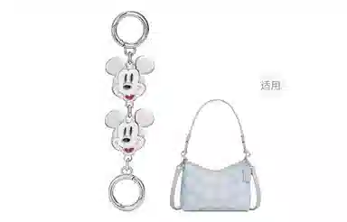 Disney coachLaurel31