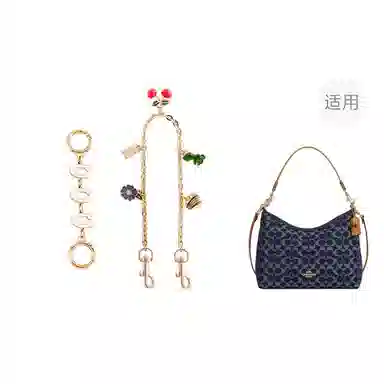 jingxi coach