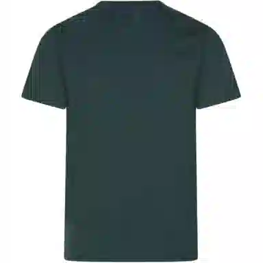 levis T