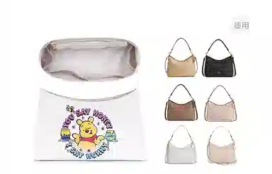 Disney COACH Laurel 31