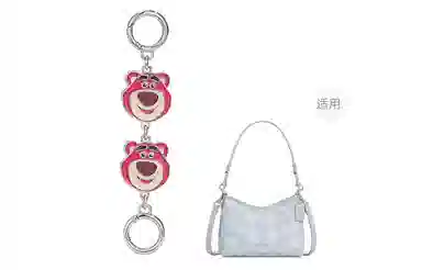 Disney coachLaurel31