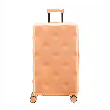 BROMEN BAGS PC 20242622