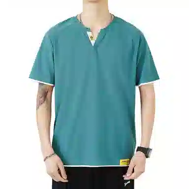 VNHP VT