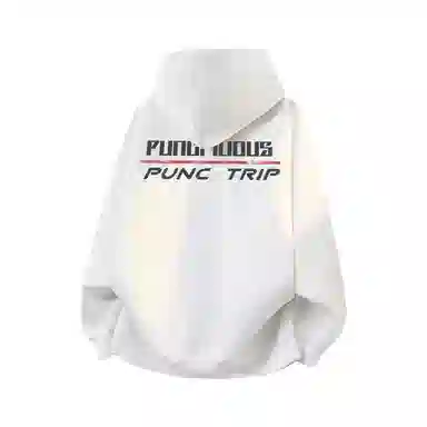 PUNCTILIOUS logo