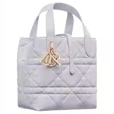 DIOR Toujours Tote