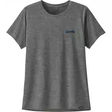 patagonia T