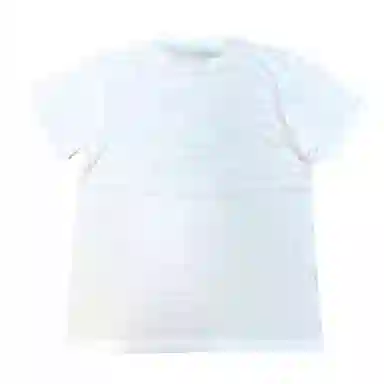 SANTASTIC T