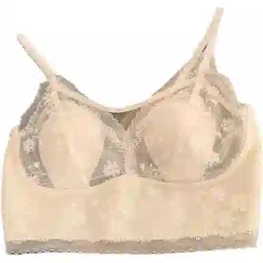 ALPLUME V