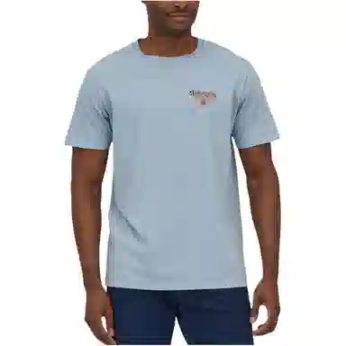 patagonia T