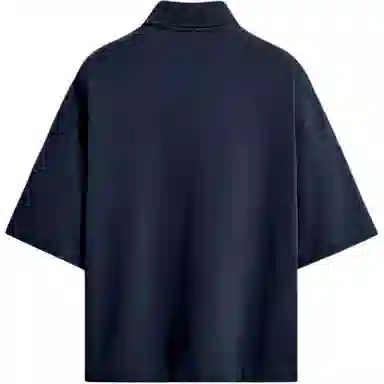 ZARA Polo