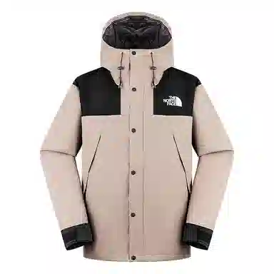 THE NORTH FACE ICON