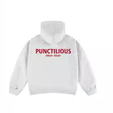 PUNCTILIOUS cleanfit