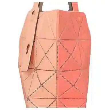 ISSEY MIYAKE LUCENT W COLOR Tote