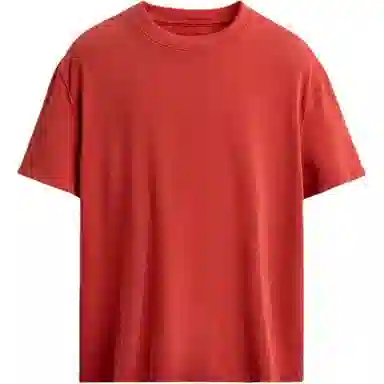 ZARA T
