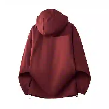 pallsupol