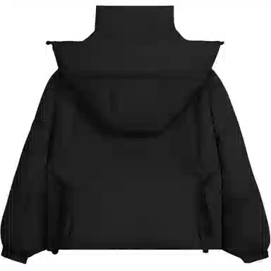 鸭鸭 短款时尚都市秋冬款小个子宽松保暖连帽鸭绒羽绒服 女款