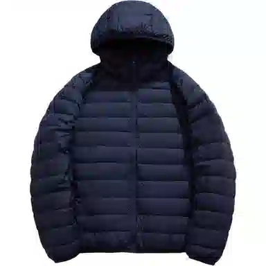 鸭鸭 纯色舒适时尚连帽轻薄羽绒服 男款