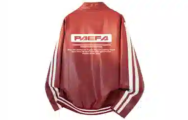 PAEFA logoPU
