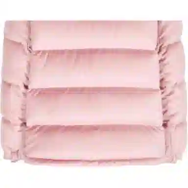 Moncler FW21 Hooded Down Jacket Pink