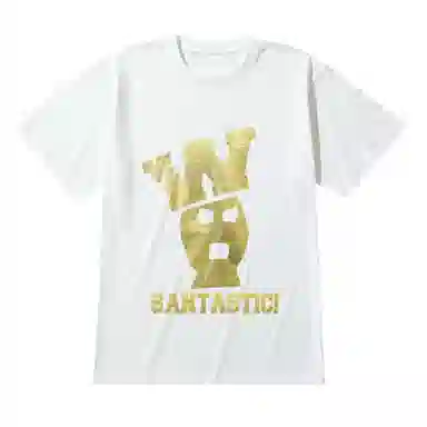 SANTASTIC T
