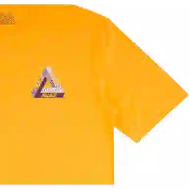 PALACE LogoT