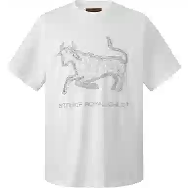 BIRTH OF ROYAL CHILD SS25 T