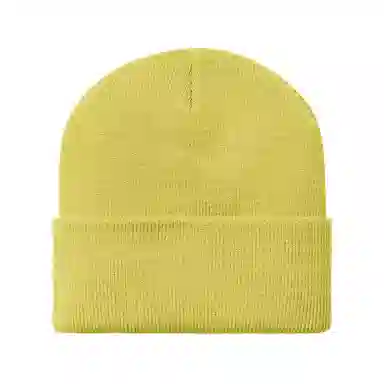 Carhartt WIP Acrylic Beanie