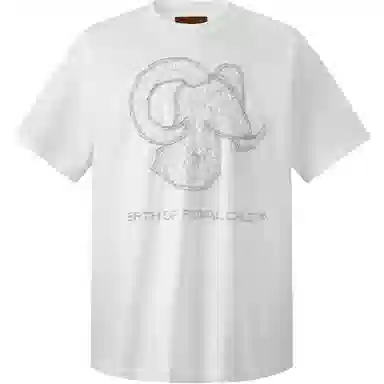 BIRTH OF ROYAL CHILD SS25 T