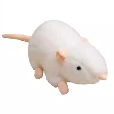 20cm30cm