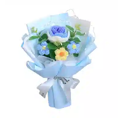 欧洛伊 创意钩织毛线玫瑰花束 其他手工制作