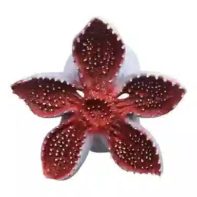 OXO Overload Carnivorous Mask