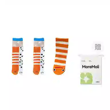 moremoli 3