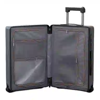 SEA LION PC 2024262228