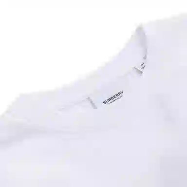 BurberryT