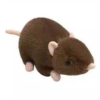 20cm30cm