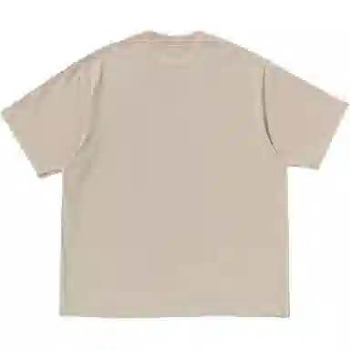 A BATHING APE FW25 T