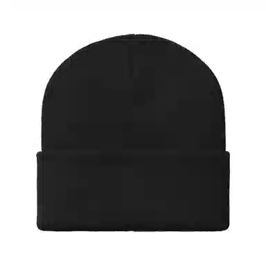 Carhartt WIP Acrylic Beanie