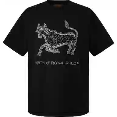 BIRTH OF ROYAL CHILD SS25 T