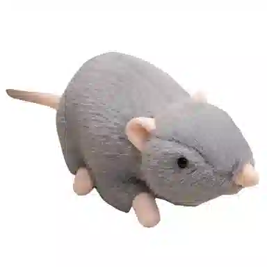 20cm30cm