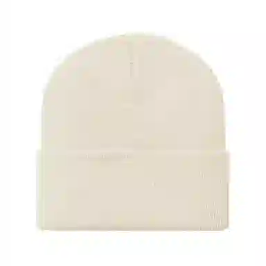 Carhartt WIP Acrylic Beanie