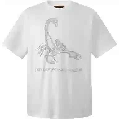 BIRTH OF ROYAL CHILD SS25 T